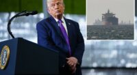âMany countriesâ to send war ships to keep Strait of Hormuz âopen and safeâ: Trump